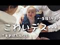 声がデカい大おばたん(71)にビビって、目が合うだけで涙が止まらない孫のてんやわんや初節句🌸