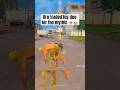 Bro made a deal 😭🙏 #fortnite #fortniteshorts #gaming