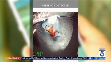 Latest technology for pool safety using AI to detect and prevent drowning (KTLA5 Morning News)