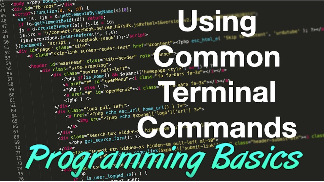 How to use Terminal Commands to work smarter (making files & moving ...