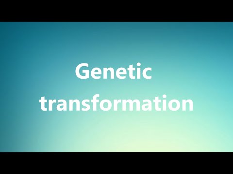 Genetic transformation -