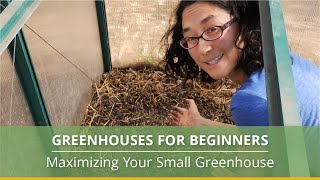 Greenhouse Gardening 101: A Beginner’s Guide