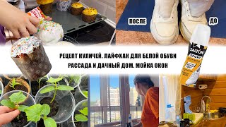 РЕЦЕПТ КУЛИЧЕЙ. ЛАЙФХАК ДЛЯ БЕЛОЙ ОБУВИ. РАССАДА И ДАЧНЫЙ ДОМ. МОЙКА ОКОН