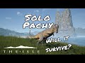 The isle legacy  life of a pachycephalosaurus