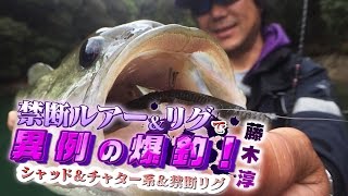 藤木淳が禁断ルアー＆リグで異例の爆釣！新型シャッド＆チャターサクレツ-フラッシュユニオン