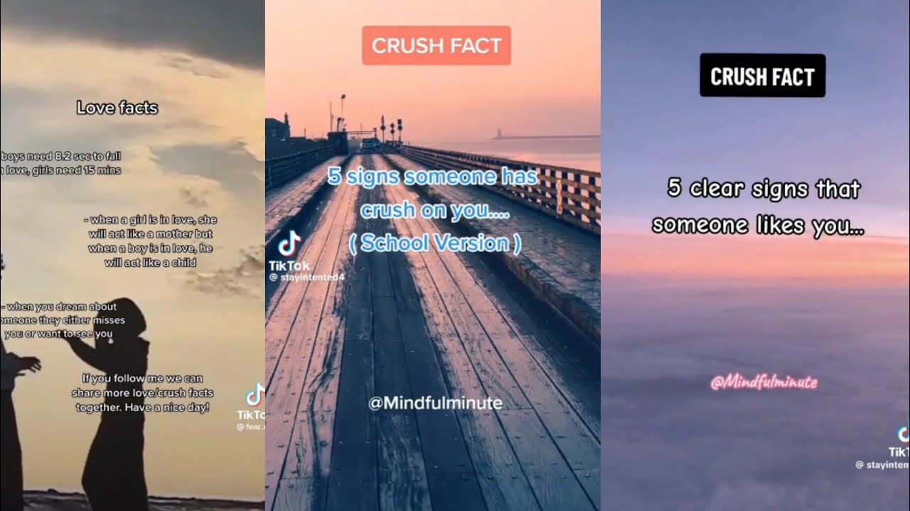 Crush Facts Amazing Facts About Your Crush Or Love Psychology