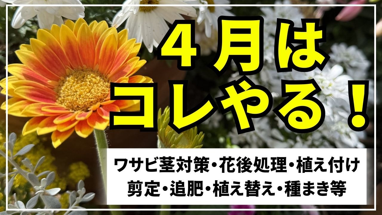April Gardening] This month's guide covers topics such as dealing