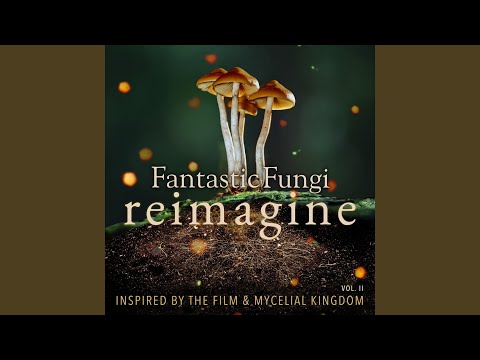 All Related (Fantastic Fungi Mix)