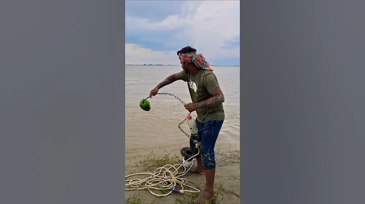 Papaya bait throwing for Shark fish #fishing #bait