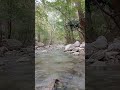 suoni rilassanti della natura