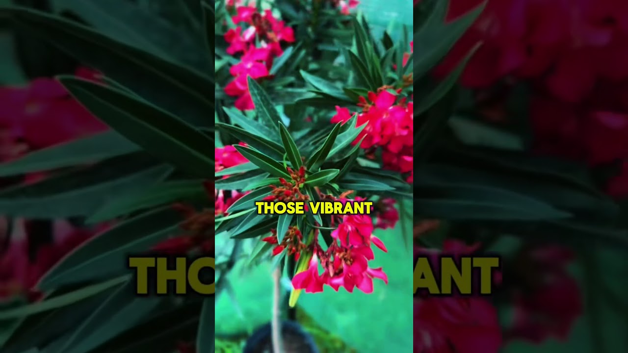 These Gorgeous Plants Can Seriously Hurt You 🌺☠️ 