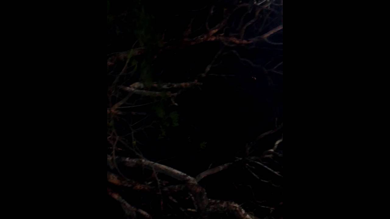 Tukutane Mombasa 2016