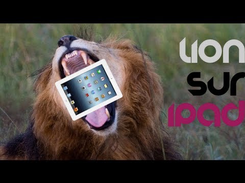 windows emulator for mac os x lion windows emulator for mac os x lion