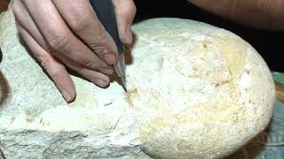 Ammonite preparation with chiesel and air scribe