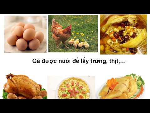 Tự nhiên xã hội lớp 2 tuần 28 , bài: Một số loài vật sống ở trên cạn