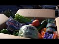 Growing food insecurity among Metro Detroit families