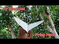 How to Make a Bat Paper Airplane Flying Like a Real Bats