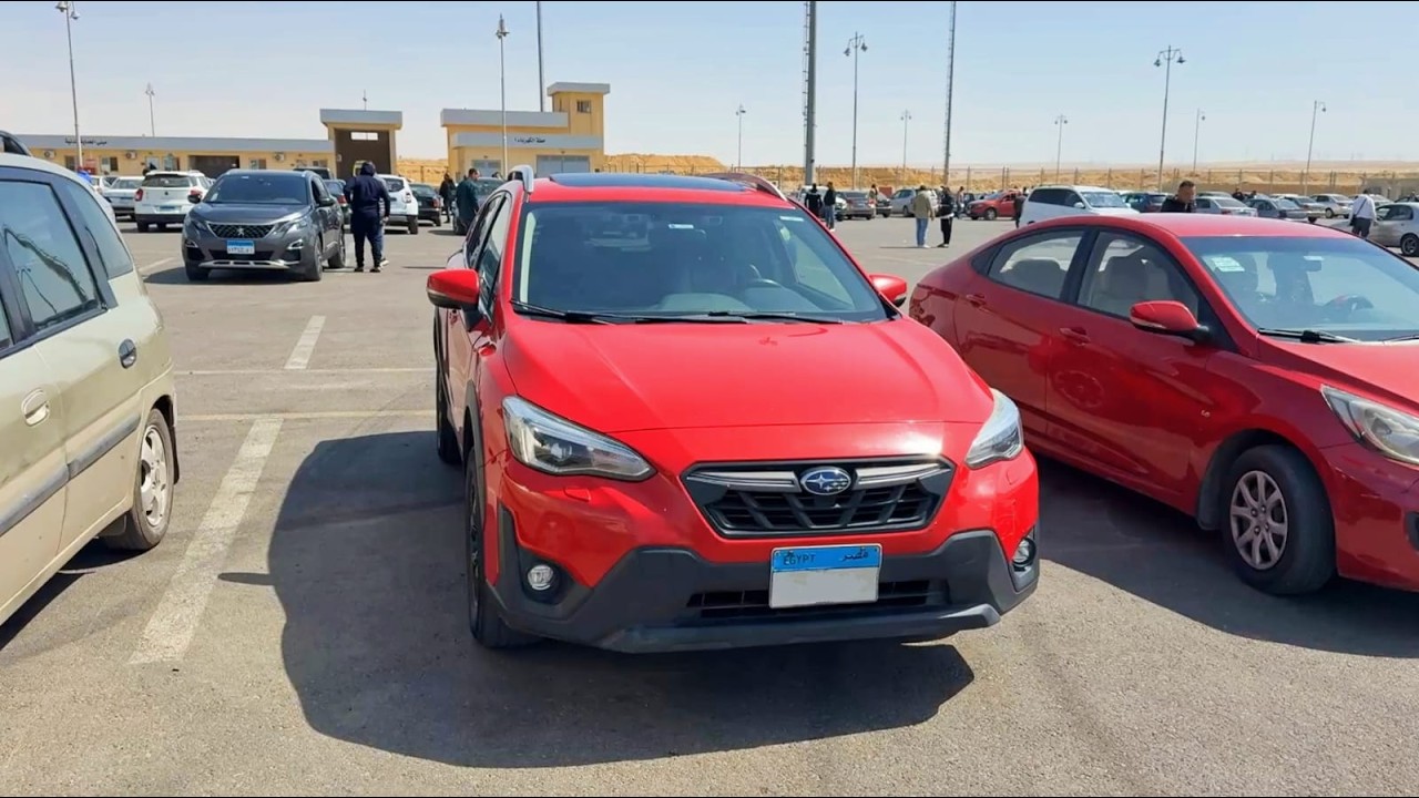 تجار السيارات النهارده في السوق بتشتري أي عربيه مستعمله