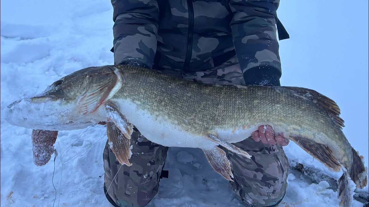 Как Я  Доставал Трофейную Щуку!!! Мой Личный Рекорд!!! 