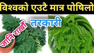 सजीवनको तरकारी र जुसको महत्वपुर्ण फाइदाहरू Benefits of Drumstick(Moringa leaf) || Nepali Health Tips screenshot 5