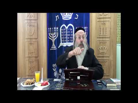 הרב אליהו גודלבסקי | הלכות ראשית הגז הלכה ד'