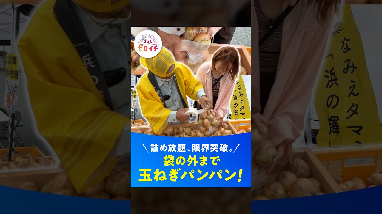 ナミエシンカ