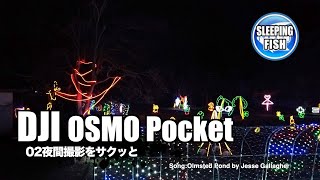 DJI OSMO POCKET [3軸ジンバル, 4Kカメラ] 02夜間撮影をサクッと