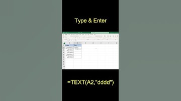 Extract Day of the Week from a Date in MS Excel