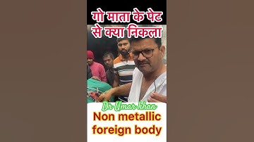 Rumenotomy l Recurrent Tympani l bloat l dr Umar khan