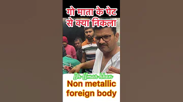Rumenotomy L Recurrent Tympani L Bloat L Dr Umar Khan 