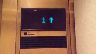 STORE CLOSED! 1992 Golden Montgomery Vector Hydraulic Elevators At Former Dillards Tri-County Mall