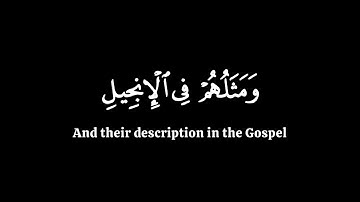 محمد رسول الله   ياسر الدوسري سورة الفتح   كرومات قران شاشة سوداء