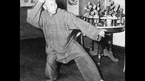 董英杰/杨氏快拳