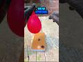IPHONE 16E BUT GONE WRONG!