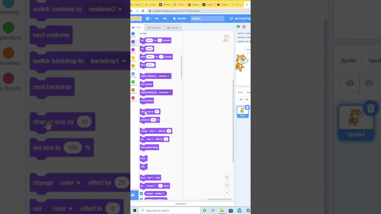 Looks Category - Scratch Programming #shorts #scratchprogramming #softwaredeveloper #devs