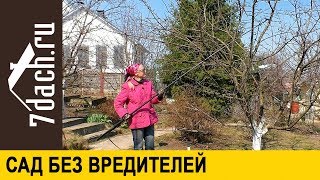 🐛 Сад Без Вредителей: Возможно Ли Это? - 7 Дач