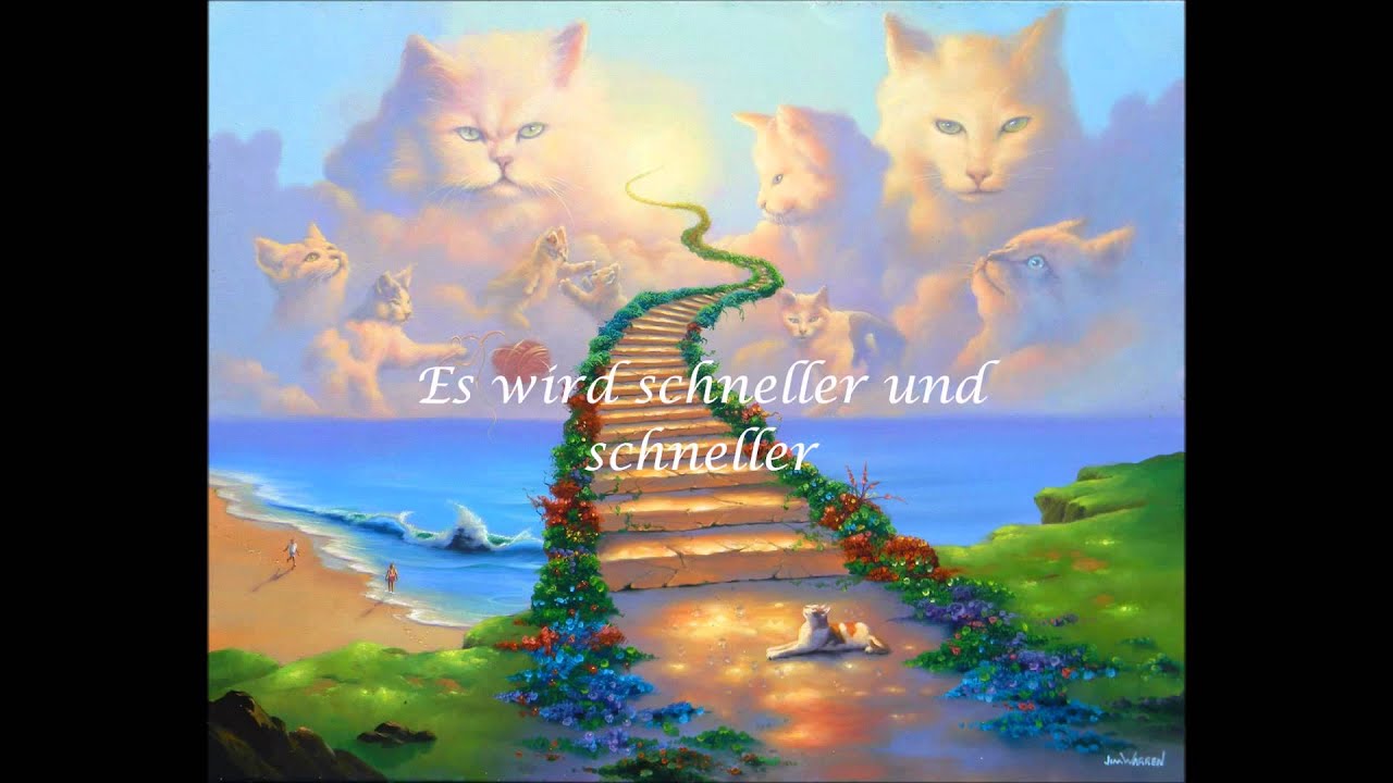 Die Regenbogenbrücke *Für Maggie*