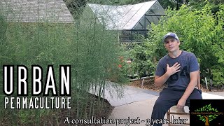 Urban Permaculture - a consultation followup 3 years later.