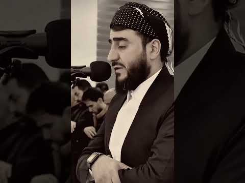 ﴿ وَلَكُمْ فِي الْقِصَاصِ حَيَاةٌ يَا أُولِي الْأَلْبَابِ لَعَلَّكُمْ تَتَّقُونَ﴾🌸😔#hashtag