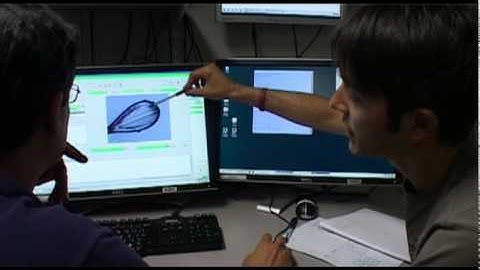 ESRF Industry Solutions for MX