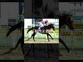 最初で最後の称号を。ダート界に輝く一番星#ウイングアロー #競馬 #shorts