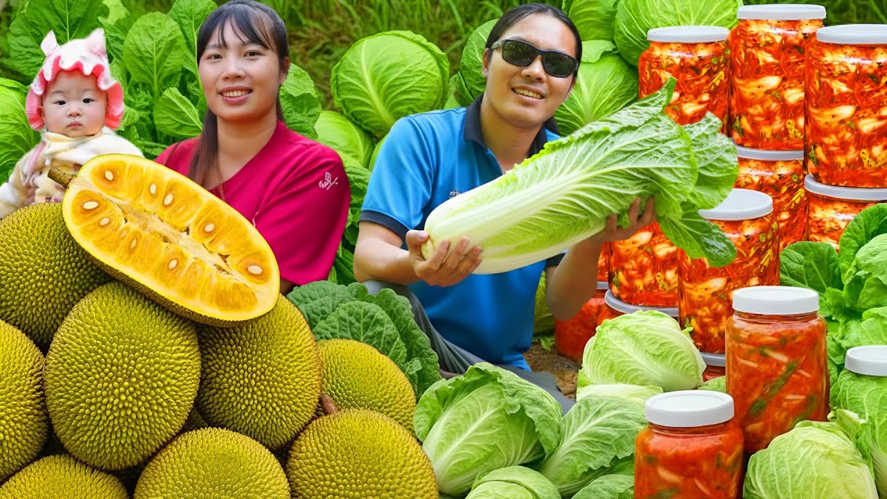 Harvesting 1000kg of Chinese Cabbage, Making Spicy Kimchi With My Children, Farm Life SURVIVAL ALONE