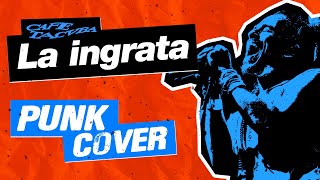Video thumbnail of "Café Tacvba – La Ingrata (Punk Cover)"