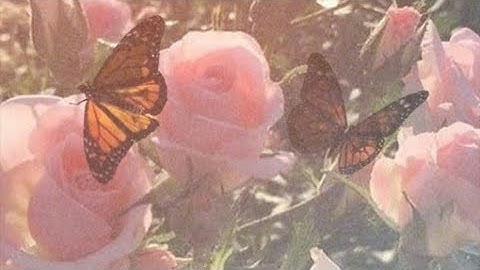 Hosting my first edit comp! #edit4spxrkles