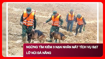 Ngừng Tìm Kiếm 3 Nạn Nhân Mất Tích Vụ Sạt Lở Núi Đà Nẵng