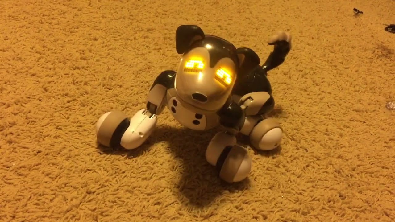 Zoomer Shadow ALREADY BROKEN