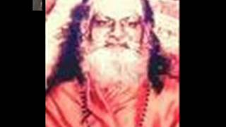 Jai Gurudev-His Divinity Shri Bramhananda Saraswati Ji Maharaaj