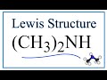 Understanding Dimethylamine Structure and Properties