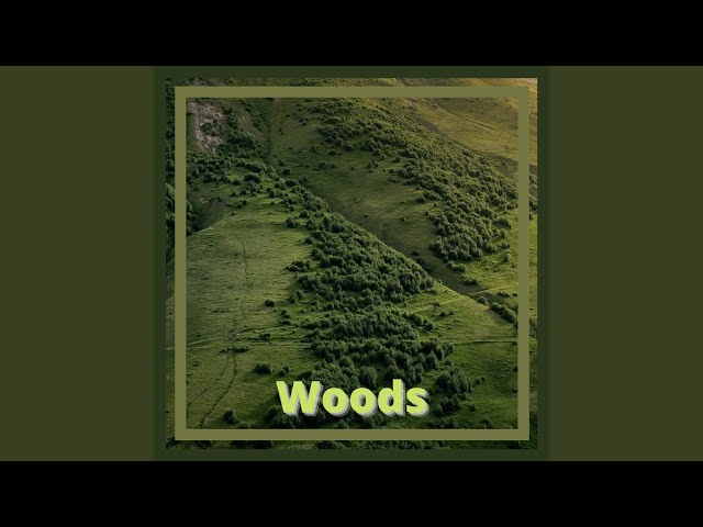 Random Nature Noise
