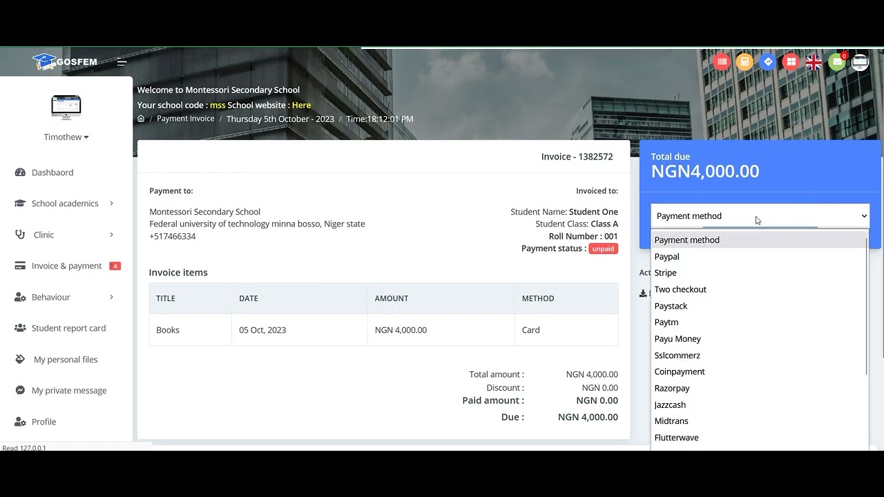 Gosfem Mass Payment Invoice Features